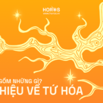 Understanding Why People Search for “Mua Tài Khoản Gmail Mỹ” and What It Really Means